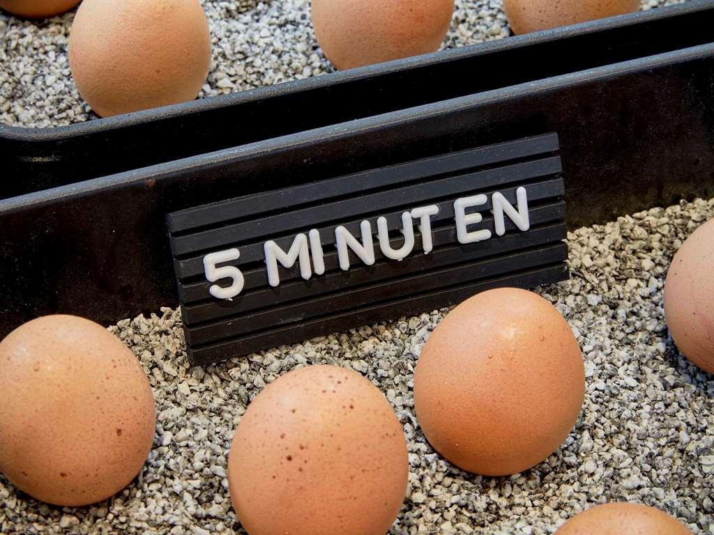 25Hours Hotel Das Tour Düsseldorf Eksteriør bilde